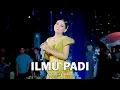 Download Lagu ILMU PADI - SHINTA ARSITA - OM SAVANA SAKJOSE