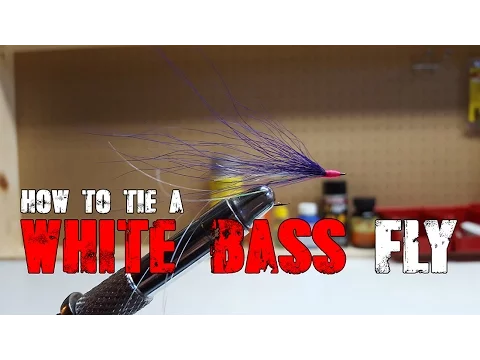 Download MP3 White Bass Fly