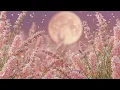 Lavender Moonlight 🌙💜 Soft Piano & Flute Waltz for Sleep & Study | Dreamy Fairycore Music