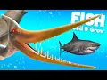 Download Lagu Upgrading *NEW* Pteranodon in Feed \u0026 Grow Fish!