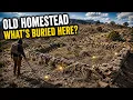 Metal Detecting Searching a Forgotten Colorado Homestead