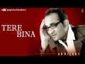 Download Lagu ☞ Chalne Lagi Hawayein Full Song - Tere Bina Album - Abhijeet Bhattacharya Hits