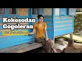 Download Lagu Kokosodan Gogoleran ~ Silvi Risviani