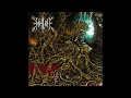 Demilich - The Cry