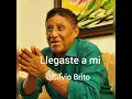 Llegaste a mi - Silvio Brito / Audio