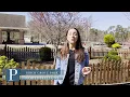 A look at this spring s allergy season in NJ