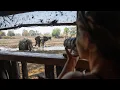 Kanga s Photographic Hide Mana Pools Zimbabwe