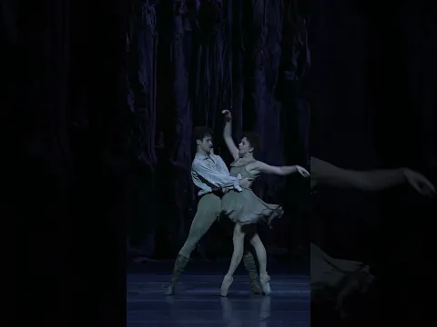 Manon – Act III pas de deux #TheRoyalBallet #Manon #KennethMacMillan #Ballet #RoyalBalletAndOpera