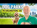 Dog Parks in Arlington VA Where to Live if You Have Pets
