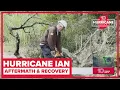 Pasco County creates online tool for Hurricane Ian aftermath