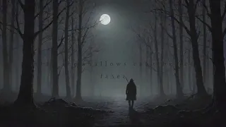 Fades - Where the shallows can't be seen