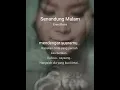 Download Lagu Senandung Malam Karaoke Eren / Romi