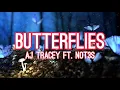 Butterflies - AJ Tracey Ft. Not3s (Lyrics)