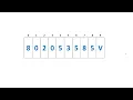 VB Net String and Substring - Sri Lanka NIC