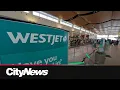 Winnipeg travellers scramble through WestJet cancellations battling adversity and uncertainty