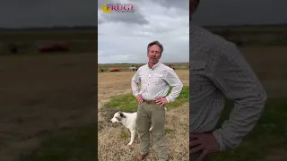 The difference between farm raised and wild crawfish