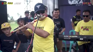 selendang biru eka ayu one pro live pemuda gombol bersatu jps audio 2024