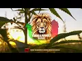 Protoje - No Guarantee ft. Chronixx (Riddim Punks BOOTLEG)