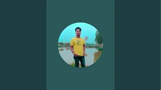 Night time live on YouTube