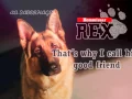 Download Lagu Kathy Sampson  - A Good Friend (Kommissar Rex) (Lyrics)