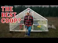 Could This Be the BEST Portable Chicken Coop Our Honest Review