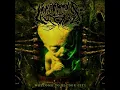 Welcome To Sludge City - Annotations Of An Autopsy (with lyrics)