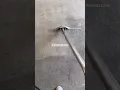 Triple Deep Clean - Detroit MI