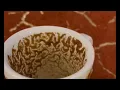 Pisces When Nothing Makes Sense Watch This Coffee Cup Reading