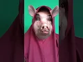Download Lagu ciluk babi#shortvideos