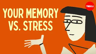 Does stress affect your memory - Elizabeth Cox
