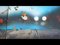 Download Lagu Siapa Cintaku