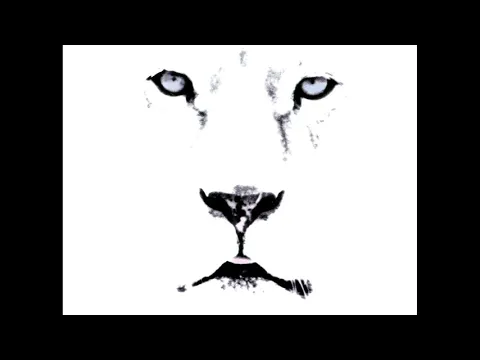 Download MP3 White lion - Wait Solo backing track