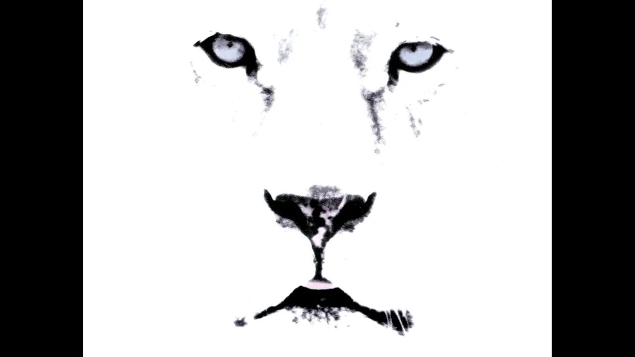 White lion - Wait Solo backing track