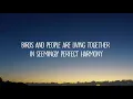 Netrum & Halvorsen - Phoenix (Lyrics)