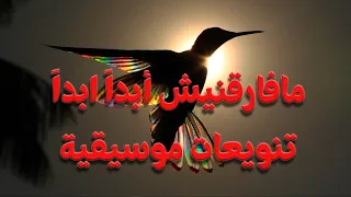 مافارقنيش ابدا ابدا أحسانك   موسيقى ماهر فايز دندنها