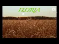 Download Lagu Floria: English Translation