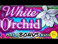 Vintage SLOTS BONUS WHITE ORCHID