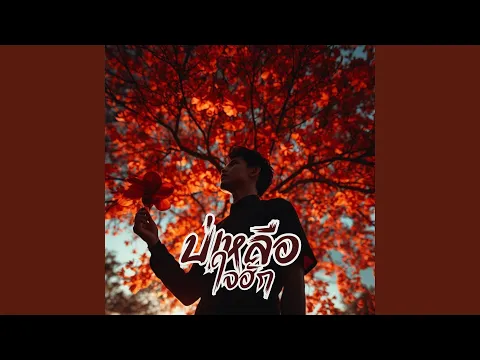 Video Thumbnail: บ่เหลือใจฮัก