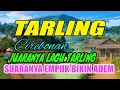Lagu TARLING DANGDUT JAWARA TARLING CIREBONAN | suara merdu bass empuk