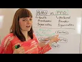 What is an HMO v PPO Health Insurer