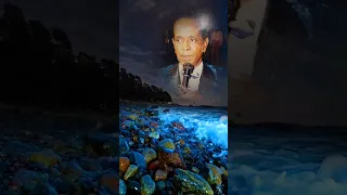 بحر ابوجريشة كفايه بعاد ترند اكسبلور الزمن الجميل ايام زمان ابيض واسود اغاني زمان اسكندرية 