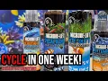Stop Aquarium Algae Fish Disease Naturally Microbe-Lift Breakdown Hilary On Location