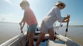 Ep 269 | Up the Creeks, Caiman and Alaru, Sailing Nutshell, Australia