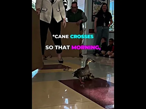 A duck leads her ducklings through the school 🐥