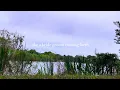 Haddon - Psalm 19 [Official Lyric Video]