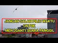 Download Lagu waktu yang tepat untuk mengganti suara panggil walet