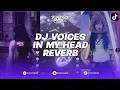 Lagu DJ VOICES IN MY HEAD REVERB BREAKBEAT REMIX BY NOKA AXL