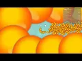 Snake io Lovely Snake Pro Skill Epic Snake io Gameplay