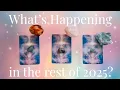 Download Lagu Before 2025 Ends...THIS Will Happen For YOU🔥🤩  HUGE Surprises Are Coming! 👀💰 Timeless Tarot #tarot