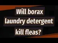 Will borax laundry detergent kill fleas